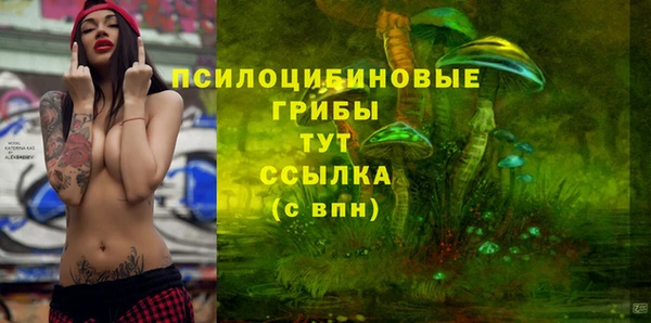 прущий лед Бугульма