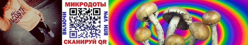 Псилоцибиновые грибы Psilocybe  Купить закладки  Мегион 