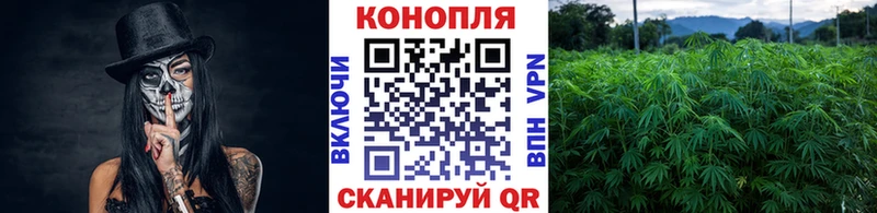 Конопля Ganja  Купить закладки  Мегион 